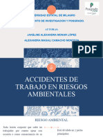 Trabajo Colaborativo Riesgos Ambientales