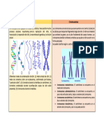 ACTIVIDAD 1. Cromatina y Cromosomas