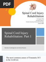 SCI Rehabilitation