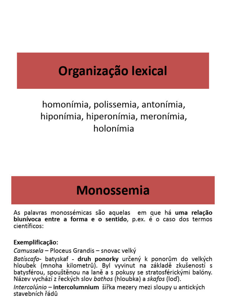 CONTEÚDO_sinonimo_antonimo_homonino_polissemia, PDF