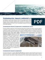 Ficha 2 (Contaminación e Impacto Ambiental)