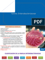 Familia Enterobacteriaceae, Diagnóstico Microbiológico