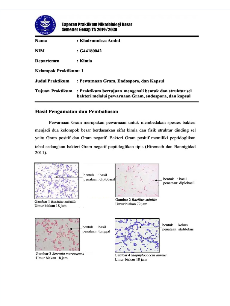 Encrypted Document Analysis | PDF | Science & Mathematics | Technology ...