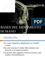 Bases Del Movimiento Humano