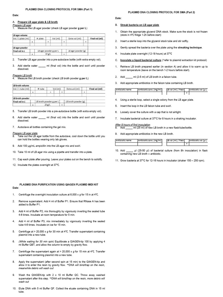 DNA Cloning Protocol PDF Agar Biology