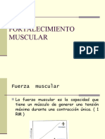 Fortalecimiento Muscular