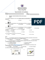 Mapeh Mpies GR 6 Diagnostic Test