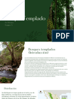 Presentación de Bosque Templado de La Naturaleza de La Vida