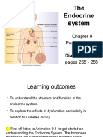 the Endocrine System.pptx