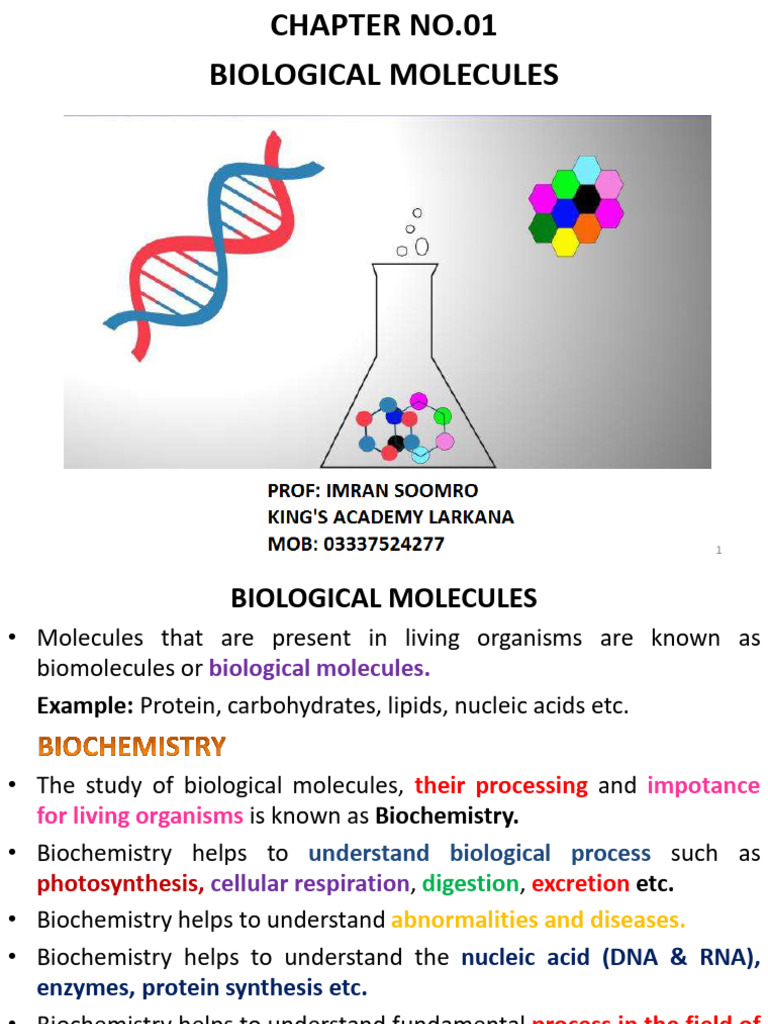 Chapter No. 01 Biological Molecules by Prof. Imran Soomro | PDF | Lipid ...