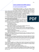 Klasifikacija DRT I Protokol Izrade Primer