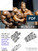 Biochemistry of Muscles and Connective Tissue