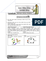 Ipa Bab 8 Rangkuman Siklus Hidup Makhluk Hidup 6 SD