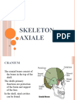 Anatomi - Osteologi Skeleton Axial