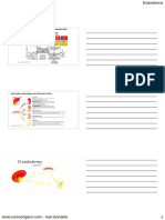 Ebook Origens Mod 4 1 Endoderma