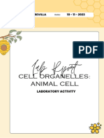 Lab Rport: Cell Organelles: Animal Cell