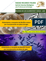 Aislamiento y Recuento de Bacillus Cereus Por Incorporación AV 2020 URP
