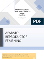 Aparato Reproductor Femenino