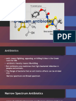 β lactam