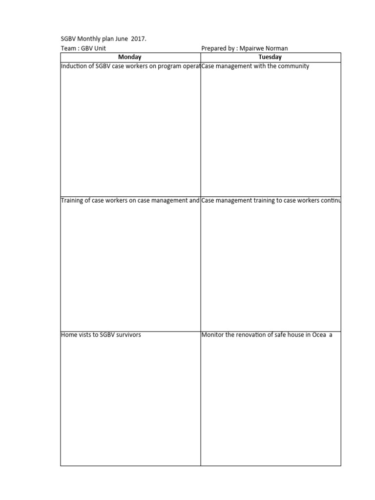 June 2017 SGBV Monthly Plan | PDF