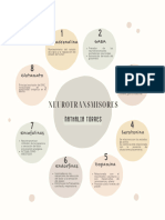 Organizador Gráfico de Neurotransmisores Nathalia Torres