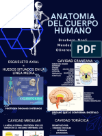 Anatomia Del Cuerpo Humano