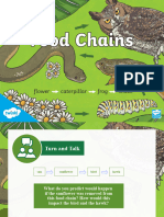 Food Chains