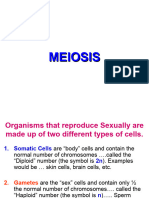Meiosis 2