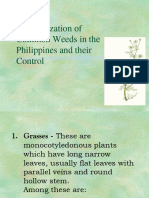 Familiarization of Common Weeds