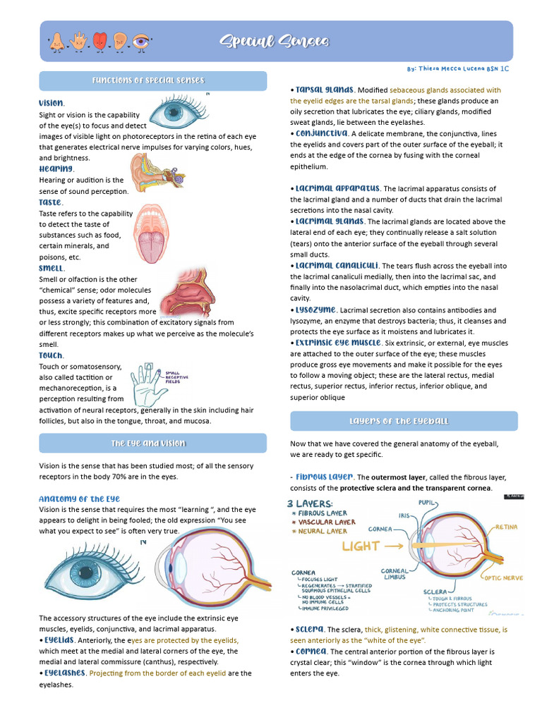 Overview of Special Senses and Eye Anatomy | PDF | Ear | Senses