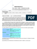 Niveles de Organización - Celula - Tejido - Funciones Celulares