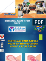 5.b. HEMORRAGIAS P y PP 2019