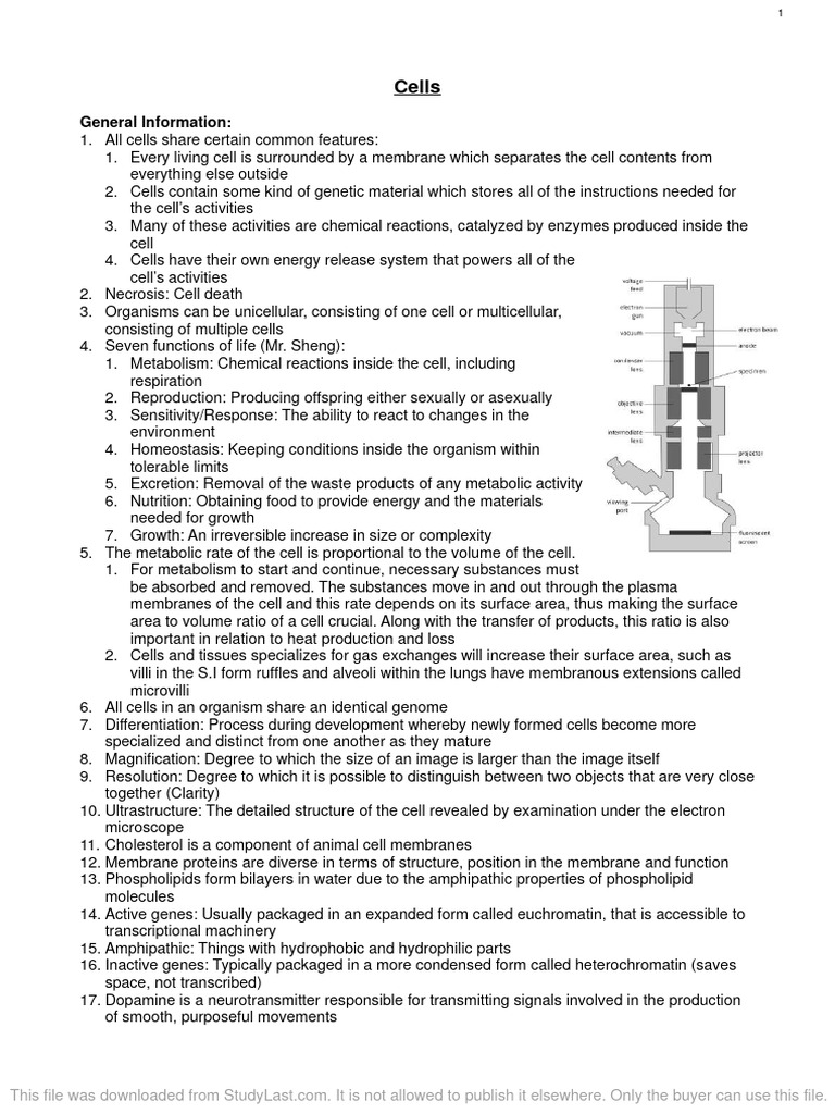 Essential Cell Biology Concepts Explained | PDF | Cell Potency | Cell ...