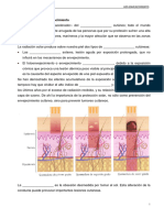 2122 Dermoestética Dossier - UD 5-2