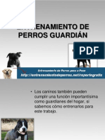 Entrenamiento de Perros Guardián