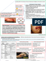 Resumenes Normas Tecnicas ZOONOSIS