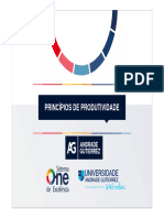 AG PDF - Udc PrincipiosdeProdutividade