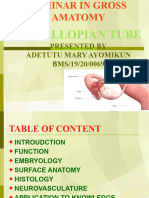 ADETUTU Seminar in Fallopian Tube