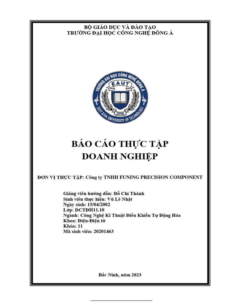 Báo Cáo Doanh Nghiệp Vũ Lê Nhật | PDF