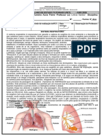 8° ano sistema respiratório