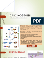 Carcinogênese 2023