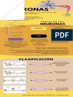 Infografia Neuronas