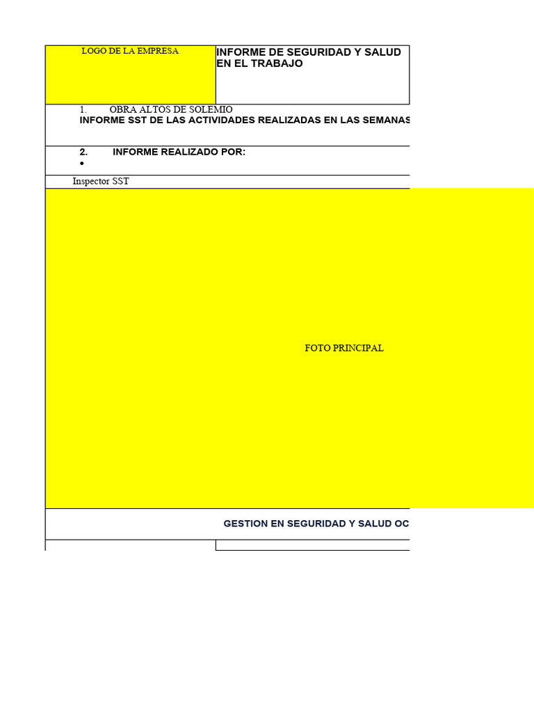 Informe Mensual SST | PDF | Seguridad y salud ocupacional | Naturaleza