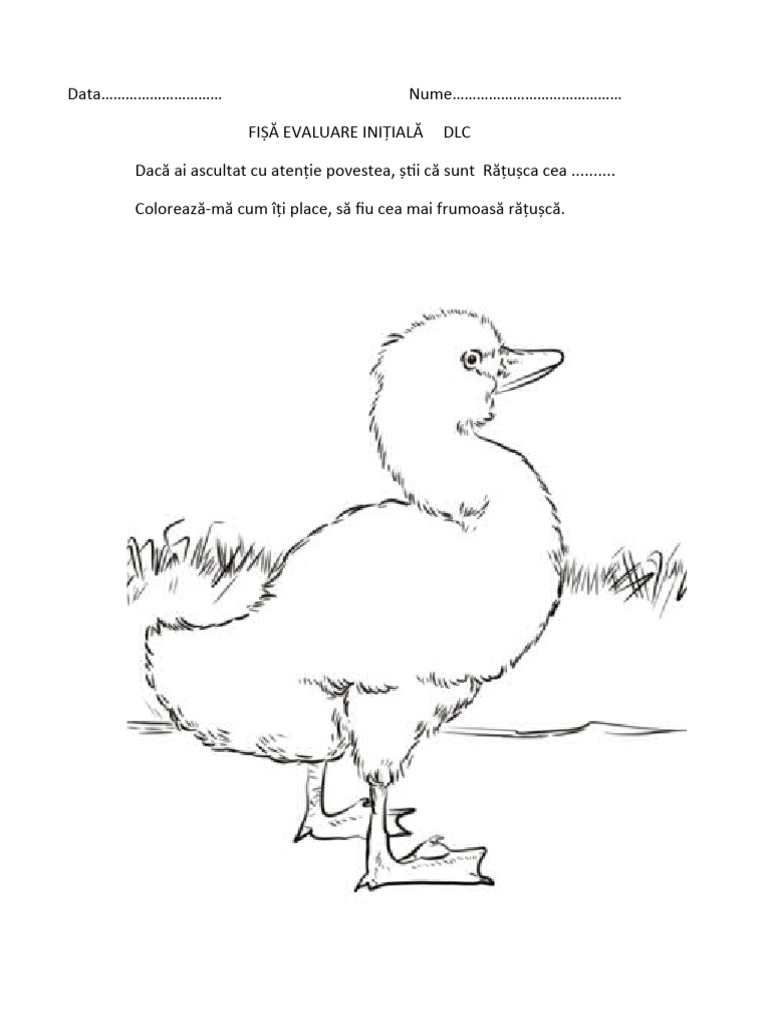 Fisa Ratusca Cea Urata | PDF