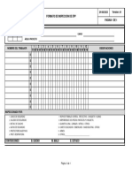 Formato Inspección EPP S