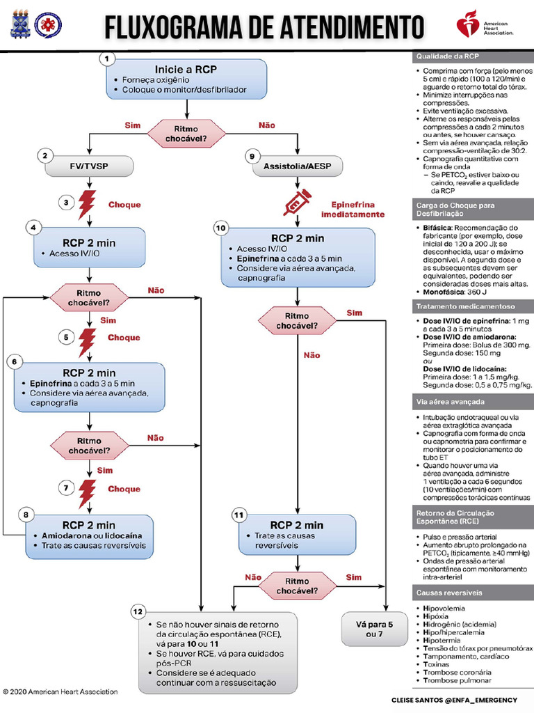 Fluxogramas de RCP e Medicações | PDF | Reanimação cardiopulmonar ...