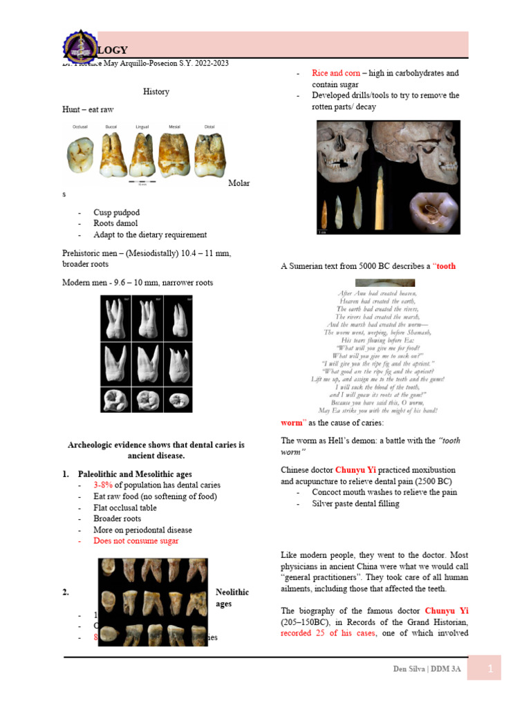 History and Development of Cariology | PDF | Dental Anatomy | Tooth Enamel