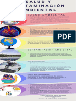 Salud y Contaminación Ambiental-Comprimido