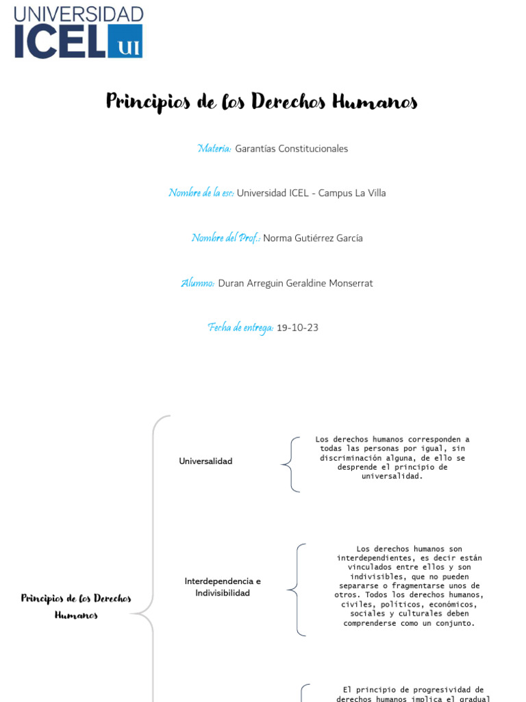 Principios de Los Derechos Humanos | PDF