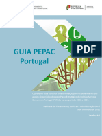 Guia PEPAC 090922 Total